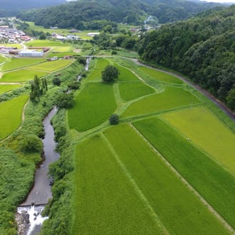 縁結びご挨拶セット（たまご入り）