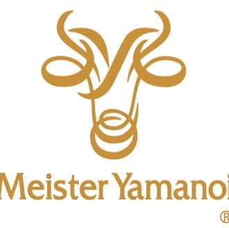 マイスター山野井