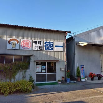 大分名産「乾しいたけ」  椎茸問屋 徳一