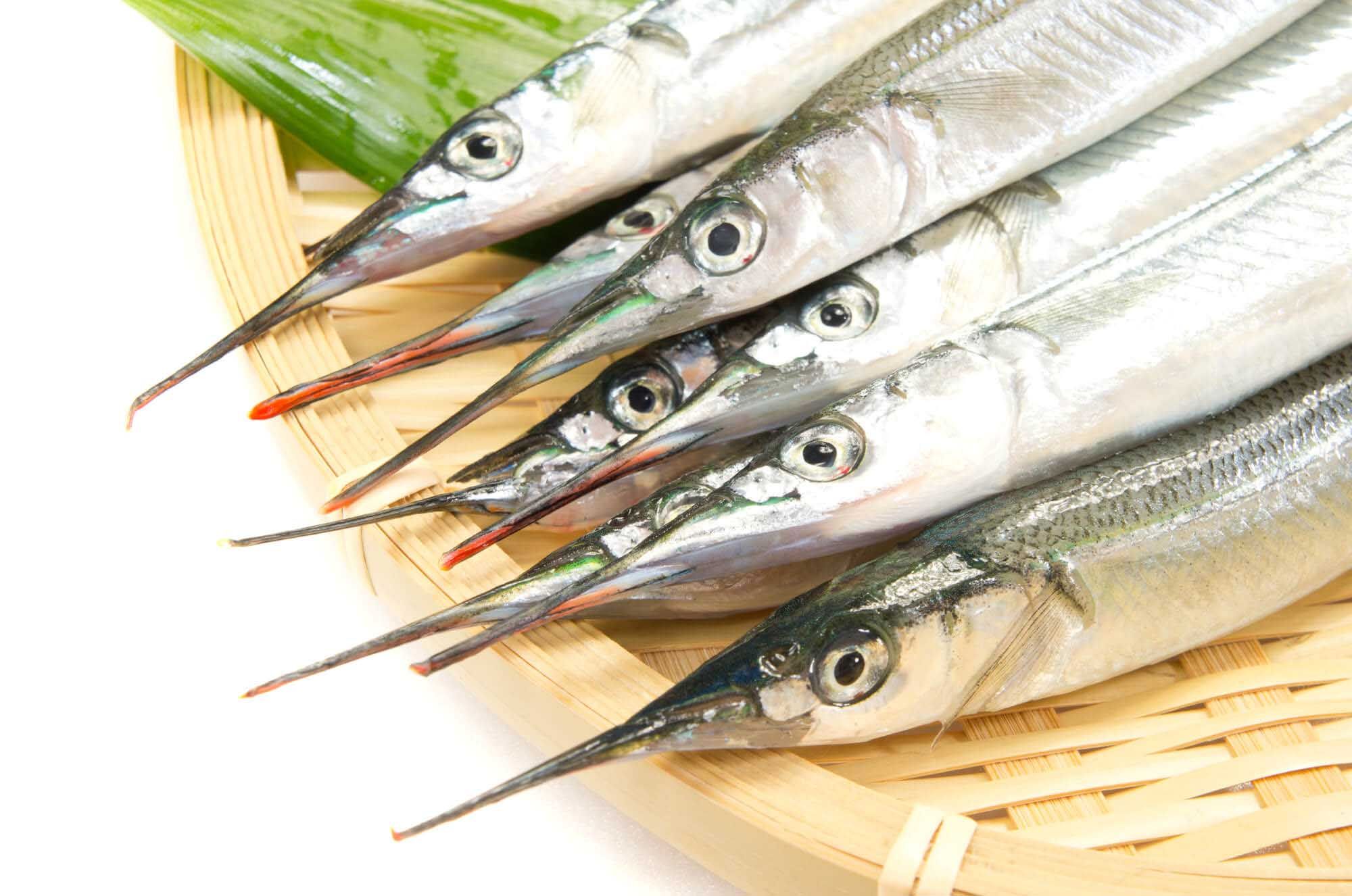かごに盛られた春が旬の魚