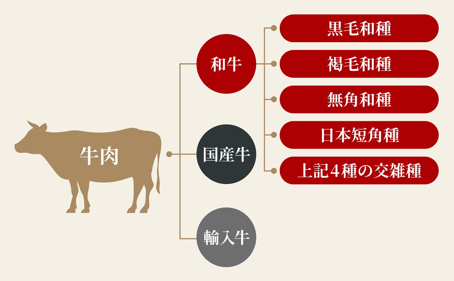 牛肉の主な分類