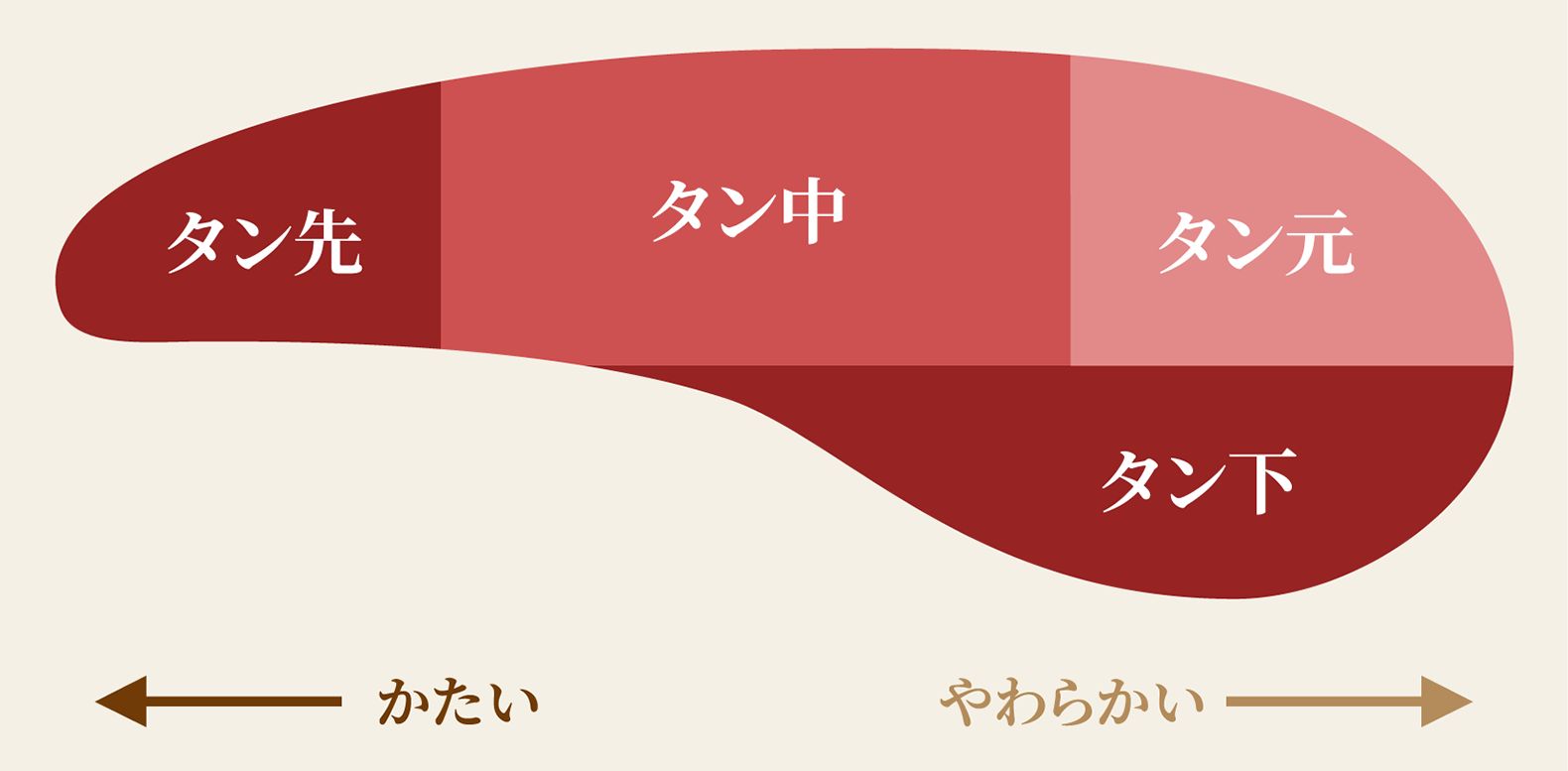 牛タンブロックの部位