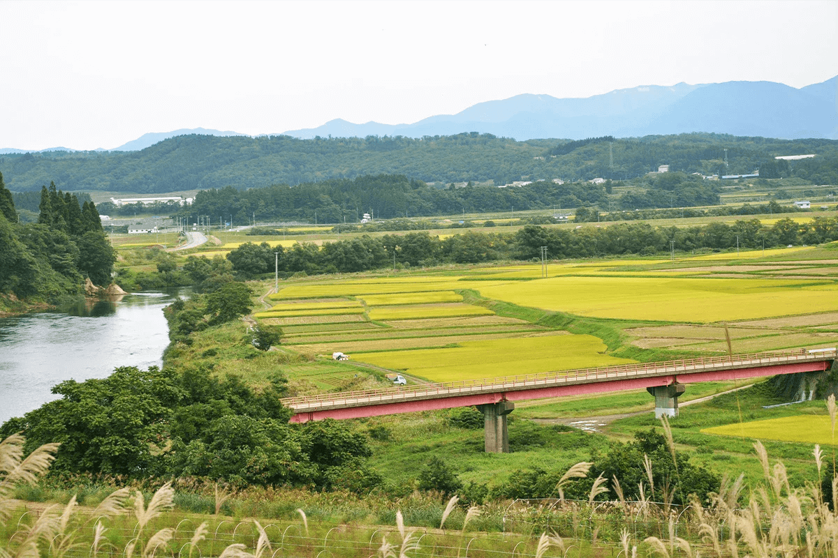 雄大な自然環境が育むお米