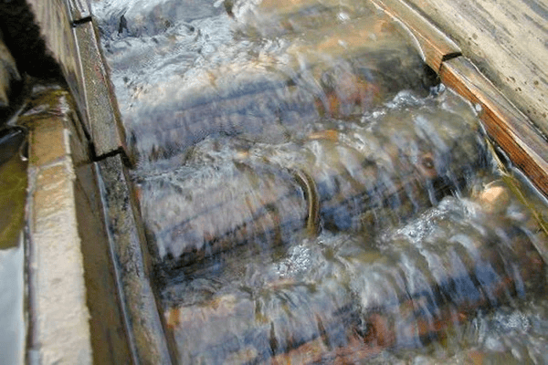 美味しいお米と多様な生き物を同時に育む。一年中、様々な手段で「生き物を増やす工夫」が施されています。