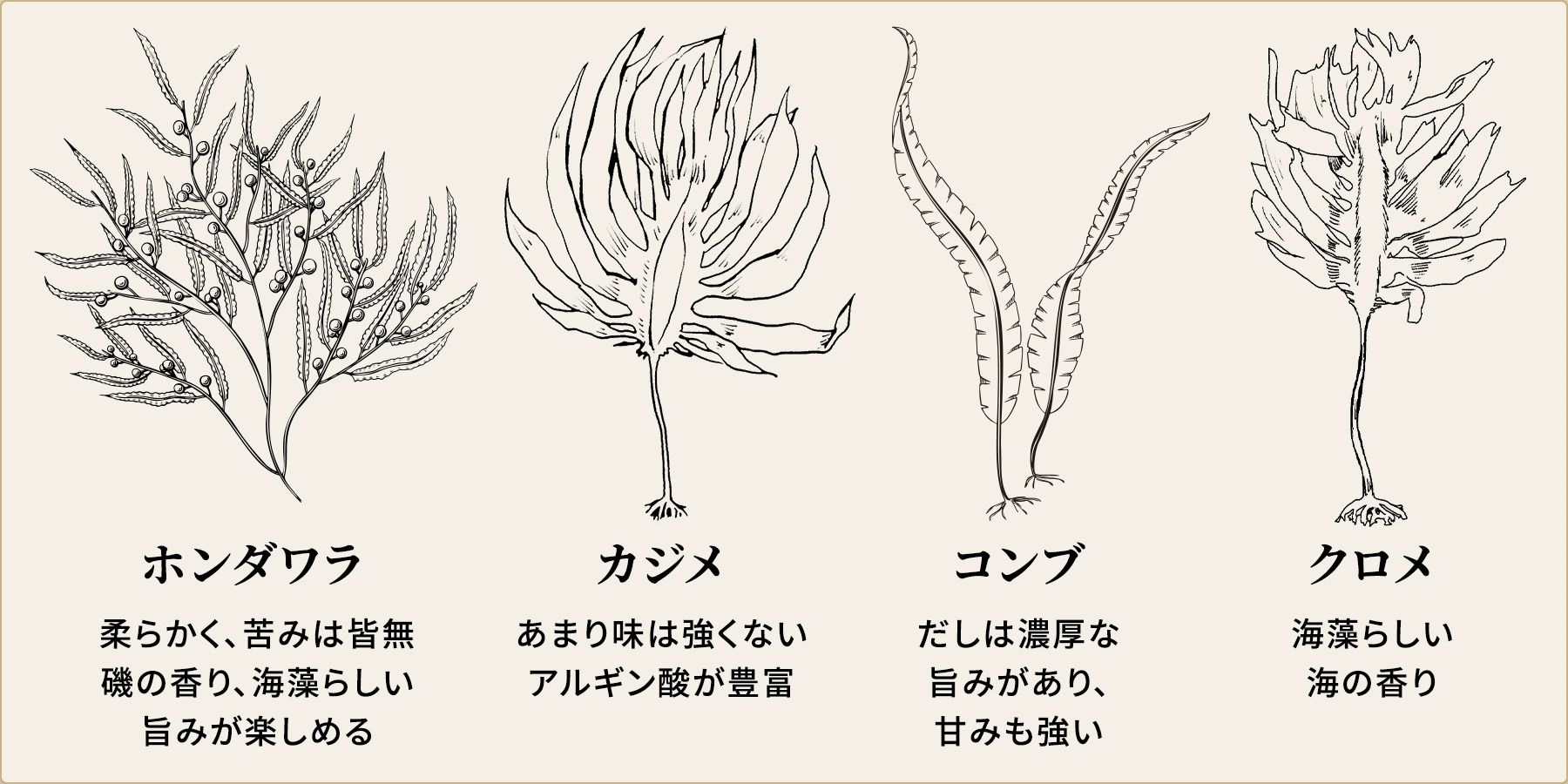 海藻ごとに異なるうまみと風味