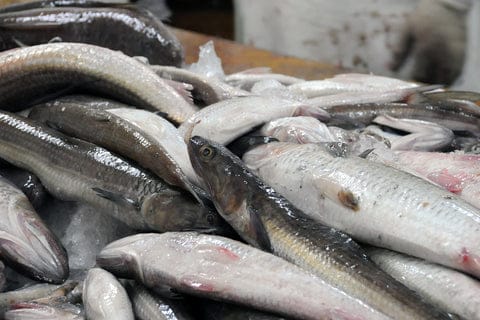 ちくわと醤油の老舗メーカーのコラボレーション ヤマサちくわ