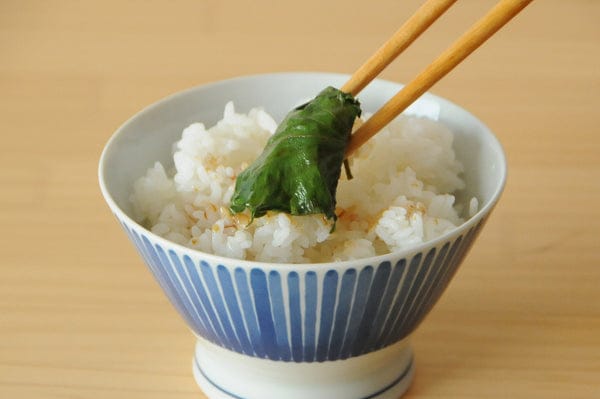 「ごはんが止まらない!大葉の醤油漬け」